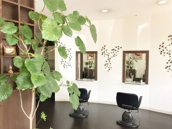 Hair Design GLOSS【ヘアデザイン　グロス】