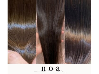 ノア(noa)の写真