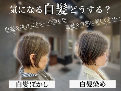 ラポール 柏店(RAPPOR)の写真