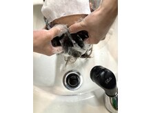 アレックス シンシア