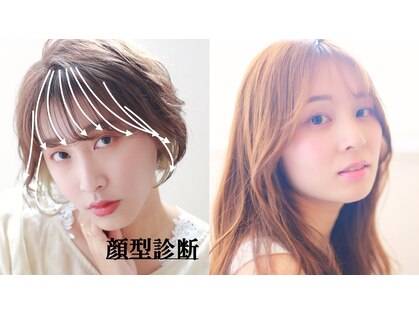 ニーズ バイ ワンコンセプト(Needs by ONE CONCEPT)の写真