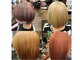 オレンジ ブゥ(ORANGE BOO)の写真
