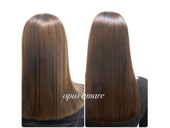 OPUS amare 【オプスアマーレ】