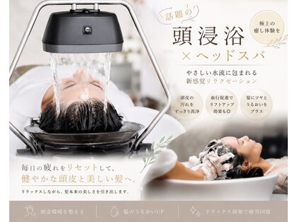 グラードステラ(grado stella)の写真