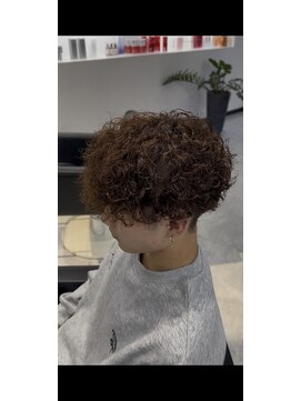 ディーボーイリタ 光の森(D-BOY Lita) プードルパーマ