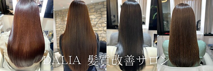 ダリア 横浜(DALIA)のサロンヘッダー