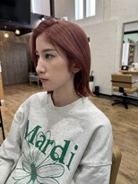 スカイ(SKY)&nbsp;福井ダブルカラー/福井カラー