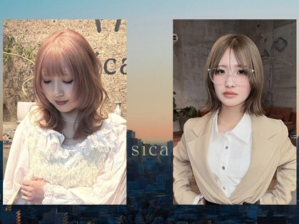 シカ(sica)の写真