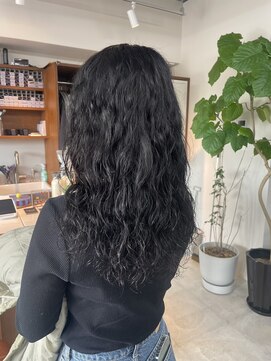 エディ(Hedi) ハードパーマ