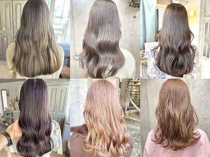 カシュカシュ(cache cache)の写真