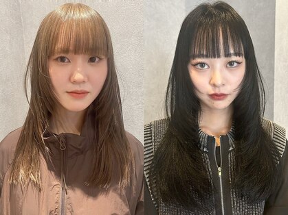 バレ(BALE)の写真