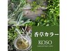 【根元からふんわり続く】漢方配合の香草カラーで40代からのハリコシ贅沢艶