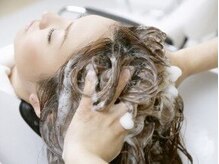 シャンティ 札幌駅前店(Shanti)