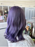 lavender purple