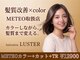 ラスター(LUSTER)の写真