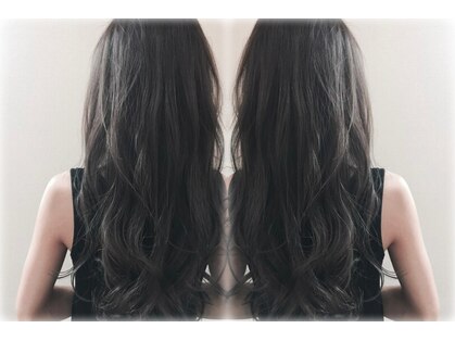 ヘアーレクスアリイ(Hair Lex Alii)の写真