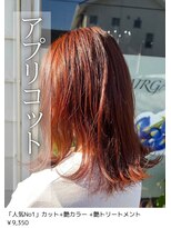 ネリネ(Nerine) オレンジブラウン