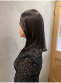 外はねロブ・バイオレットブラウン