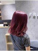 ピンクラベンダー