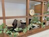 【5・6月限定】カット＋シャンプー
