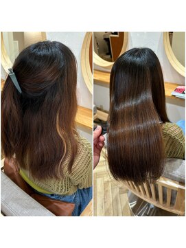 ディライト(Delight) シルクトリートメント