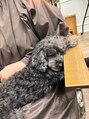 ファム(fam.) お仕事お疲れ様