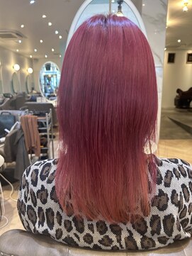 アンフィ 矢向(Anphi) 10-17 赤