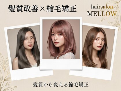 メロウ(Mellow)の写真