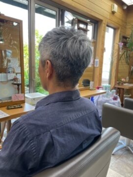 パル(PAL) メンズショート