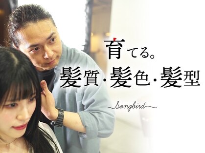 ソングバード(SONG BIRD)の写真