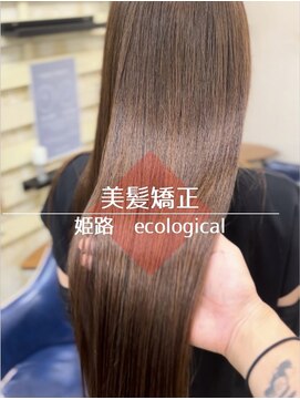 エコロジカルグローブス(ECOLOGICaL GLOBES) 美髪矯正髪質改善ストレート