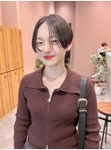卵型　ミニウルフ　ハンサムショート