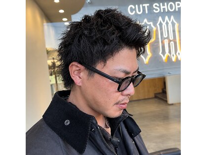 ゼファー(ZEPHYR)の写真