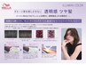 【透明感×大人艶髪】カット＋イルミナカラー＋エスタブリッシュTR