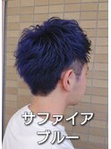 【サファイアブルー.スガワラ担当営業スタイル】