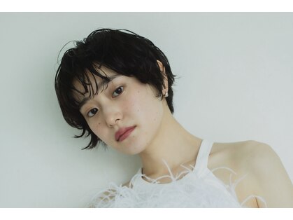 モンティ レヴィの写真