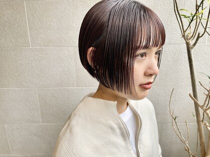 ゲン(gen.)の写真