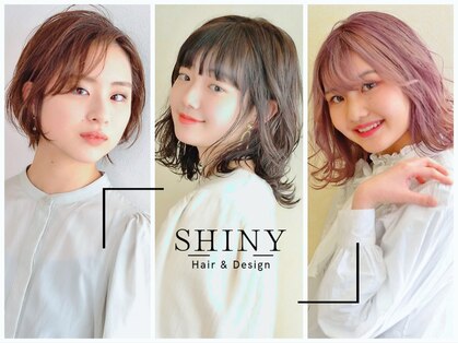 シャイニー(SHINY)の写真