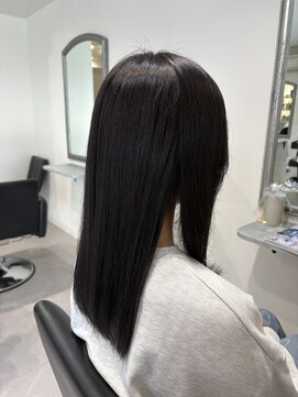 ガーベラ(gerbera) ディープバイオレット