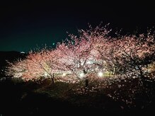 イマジンヒルズ(IMAJIN HILS)の雰囲気（河津桜の季節にはお花見もできます）