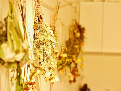 ヘアーサロン トゥリークル(Hair Salon Treacle)の写真