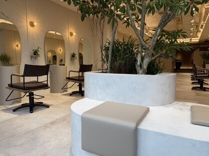 ユニ(yuni)の写真