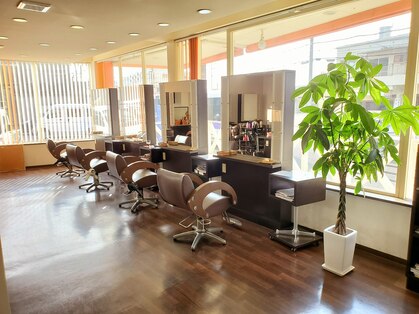ヘアーフラワー(hair. flower)の写真