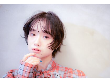 ティピ(tipi)の写真