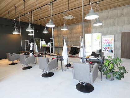 バブルス アオヤマ(Bubbles AOYAMA)の写真