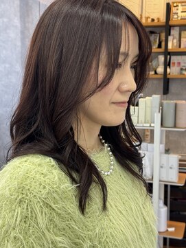 ガーベラ(gerbera) 韓国レイヤー