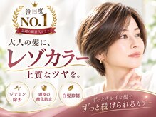 ラプトヘア アームズ(Rapt.Hair ARMS)の雰囲気（地肌に優しいジアミン除去カラー【ノンジアミン／頭皮保護】）
