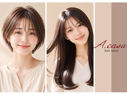 アカサ(A.casa)の写真
