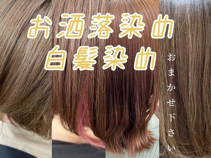 チコカラー(tico color)の写真