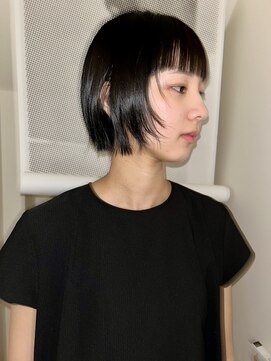 アイ エス ビー エヌ(ISBN) ミニボブ